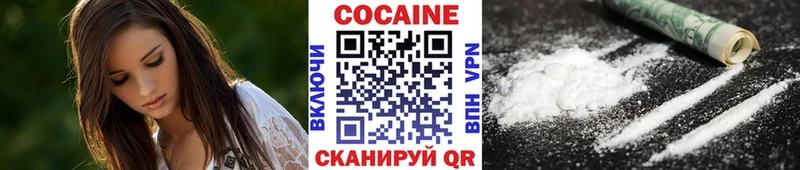 КОКАИН FishScale  магазин продажи наркотиков  Новомичуринск 