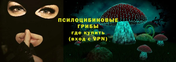 гидра Алексин