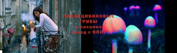 дурь Абаза