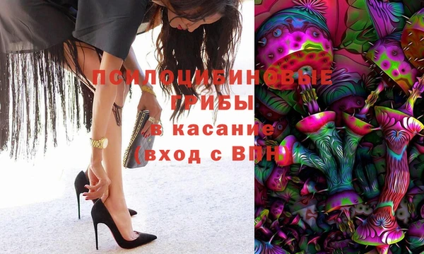 молекула духа Абинск