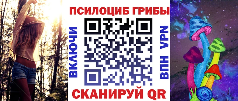 ОМГ ОМГ   Новомичуринск  Галлюциногенные грибы Psilocybine cubensis 